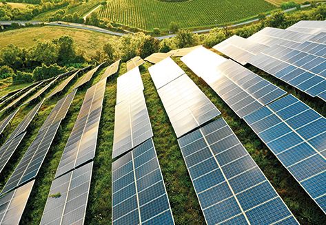 Environmental Sustainability